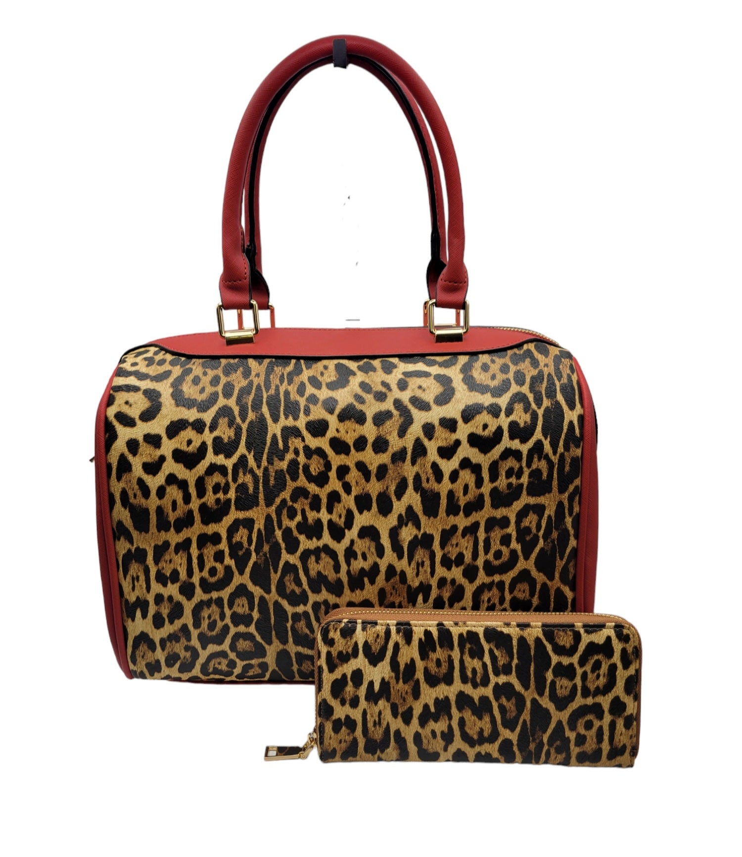 Big Cat satchel Set